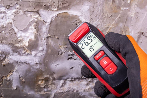 Best Mold Remediation  in Halesite, NY