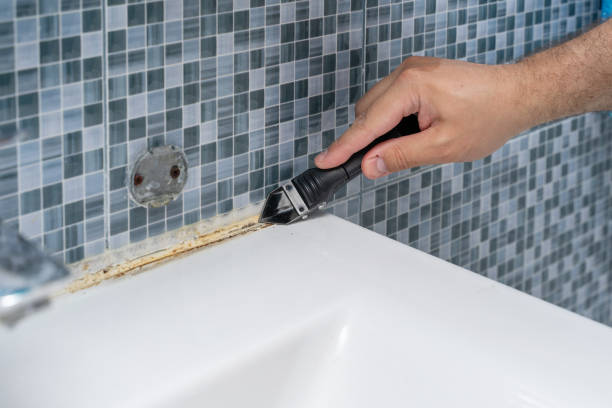 Best Residential Mold Removal  in Halesite, NY